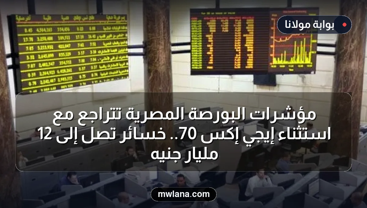 مؤشرات البورصة المصرية تتراجع مع استثناء إيجي إكس 70.. خسائر تصل إلى 12 مليار جنيه