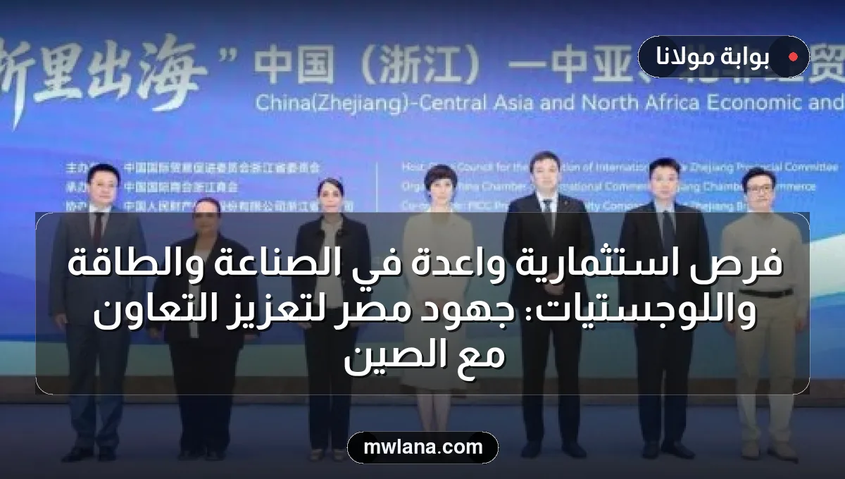 فرص استثمارية واعدة في الصناعة والطاقة واللوجستيات: جهود مصر لتعزيز التعاون مع الصين