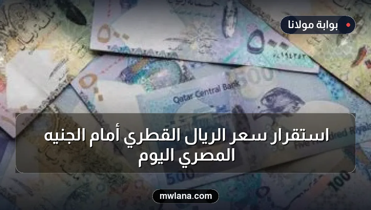 استقرار سعر الريال القطري أمام الجنيه المصري اليوم