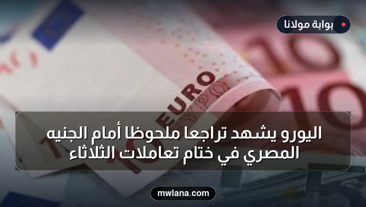 اليورو يشهد تراجعًا ملحوظًا أمام الجنيه المصري في ختام تعاملات الثلاثاء