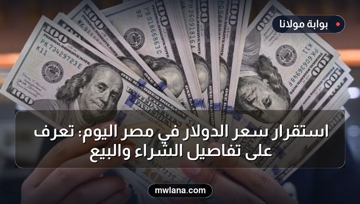 استقرار سعر الدولار في مصر اليوم: تعرف على تفاصيل الشراء والبيع