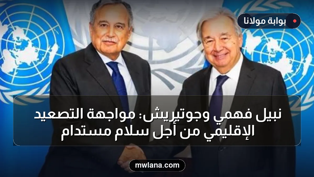 نبيل فهمي وجوتيريش: مواجهة التصعيد الإقليمي من أجل سلام مستدام
