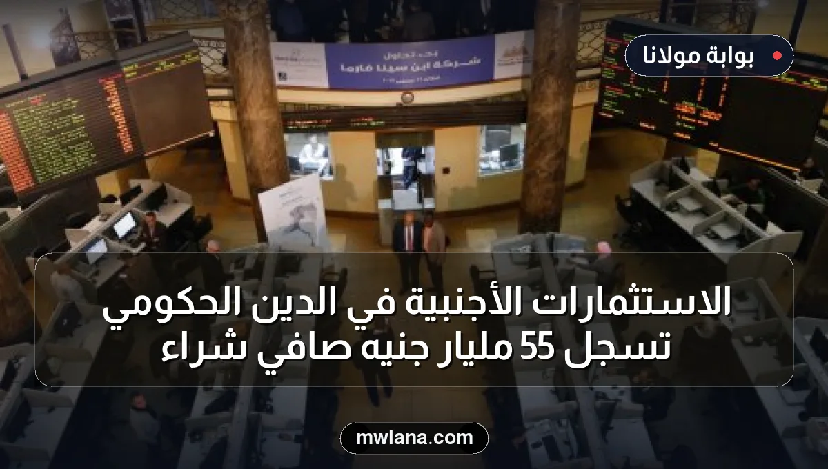 الاستثمارات الأجنبية في الدين الحكومي تسجل 55 مليار جنيه صافي شراء