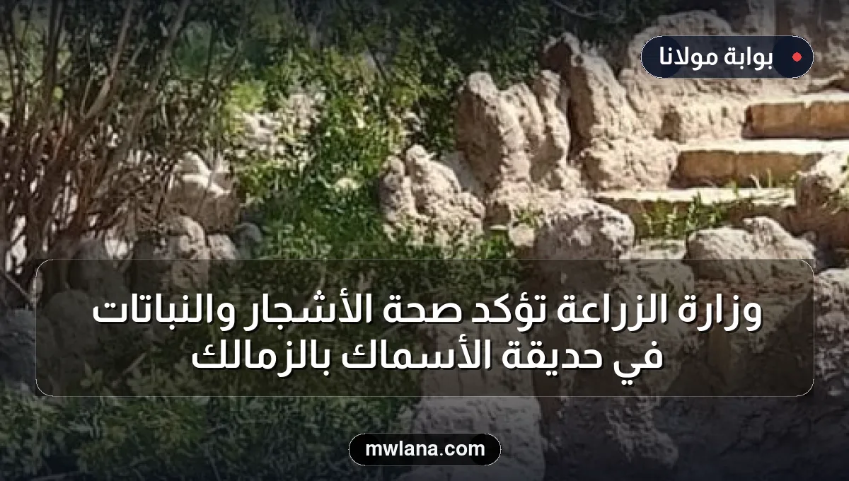 وزارة الزراعة تؤكد صحة الأشجار والنباتات في حديقة الأسماك بالزمالك