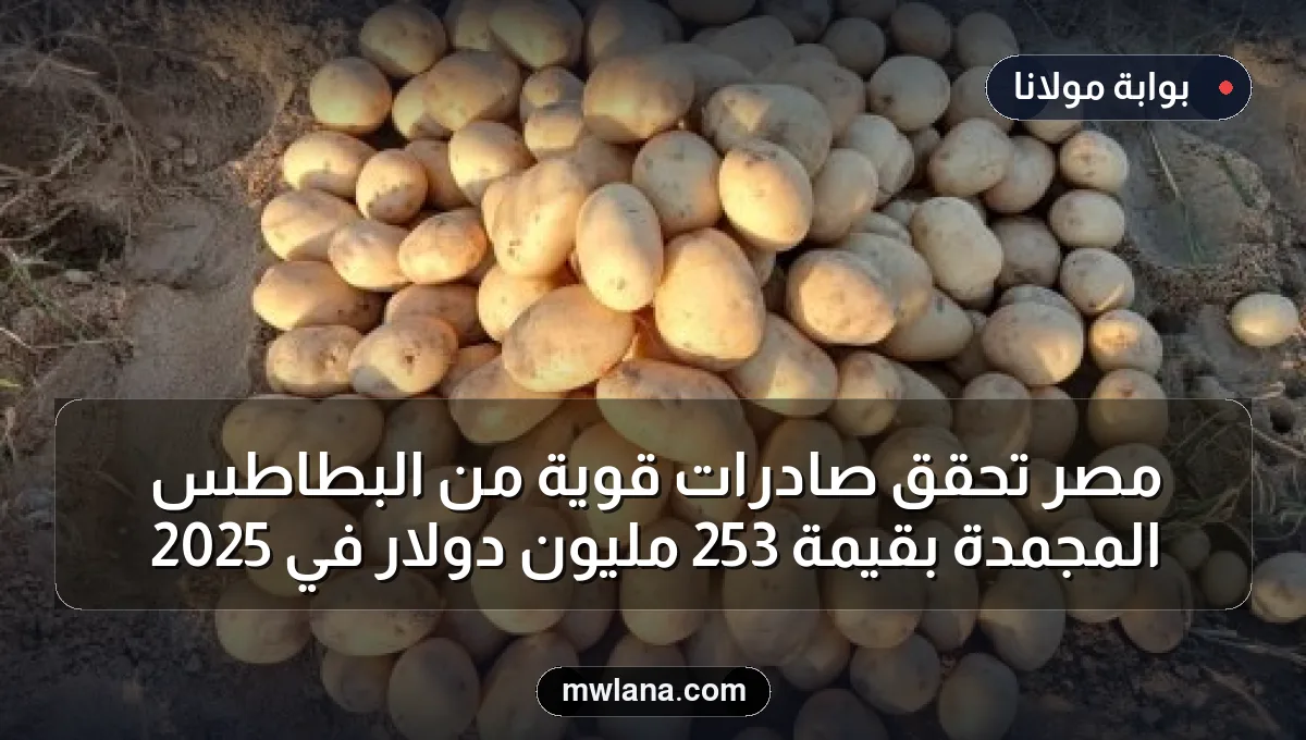 مصر تحقق صادرات قوية من البطاطس المجمدة بقيمة 253 مليون دولار في 2025