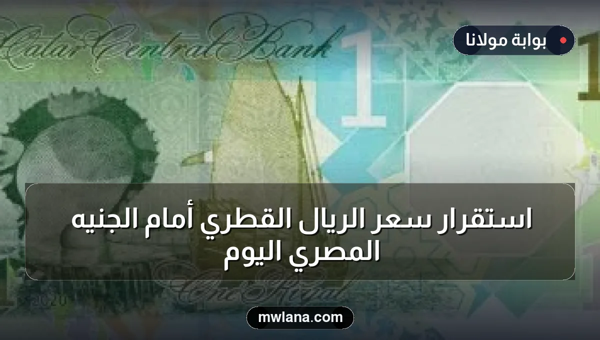 استقرار سعر الريال القطري أمام الجنيه المصري اليوم