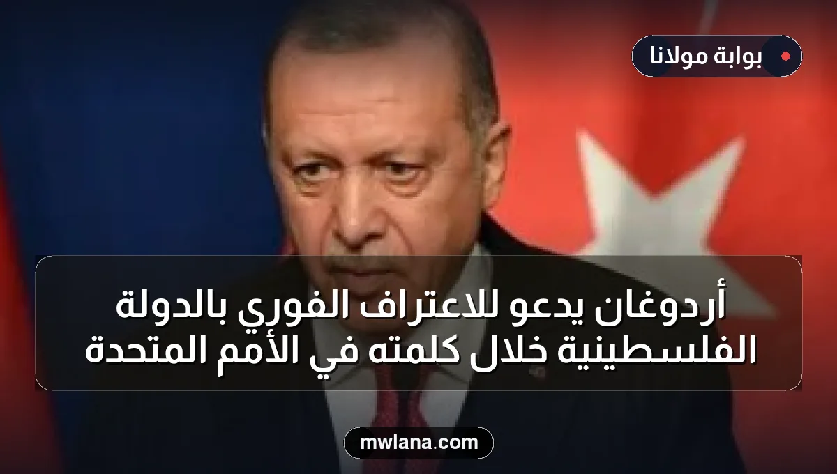 أردوغان يدعو للاعتراف الفوري بالدولة الفلسطينية خلال كلمته في الأمم المتحدة