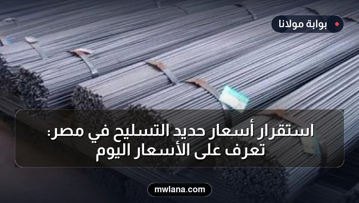 استقرار أسعار حديد التسليح في مصر: تعرف على الأسعار اليوم