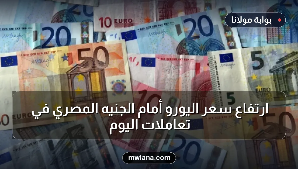 ارتفاع سعر اليورو أمام الجنيه المصري في تعاملات اليوم