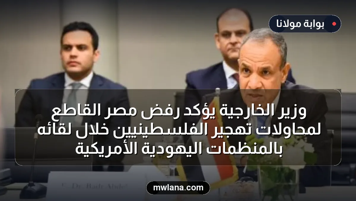 وزير الخارجية يؤكد رفض مصر القاطع لمحاولات تهجير الفلسطينيين خلال لقائه بالمنظمات اليهودية الأمريكية