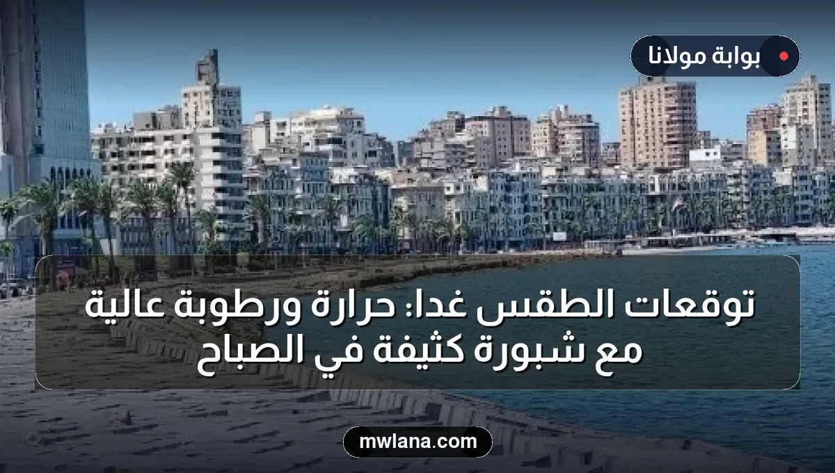 توقعات الطقس غداً: حرارة ورطوبة عالية مع شبورة كثيفة في الصباح