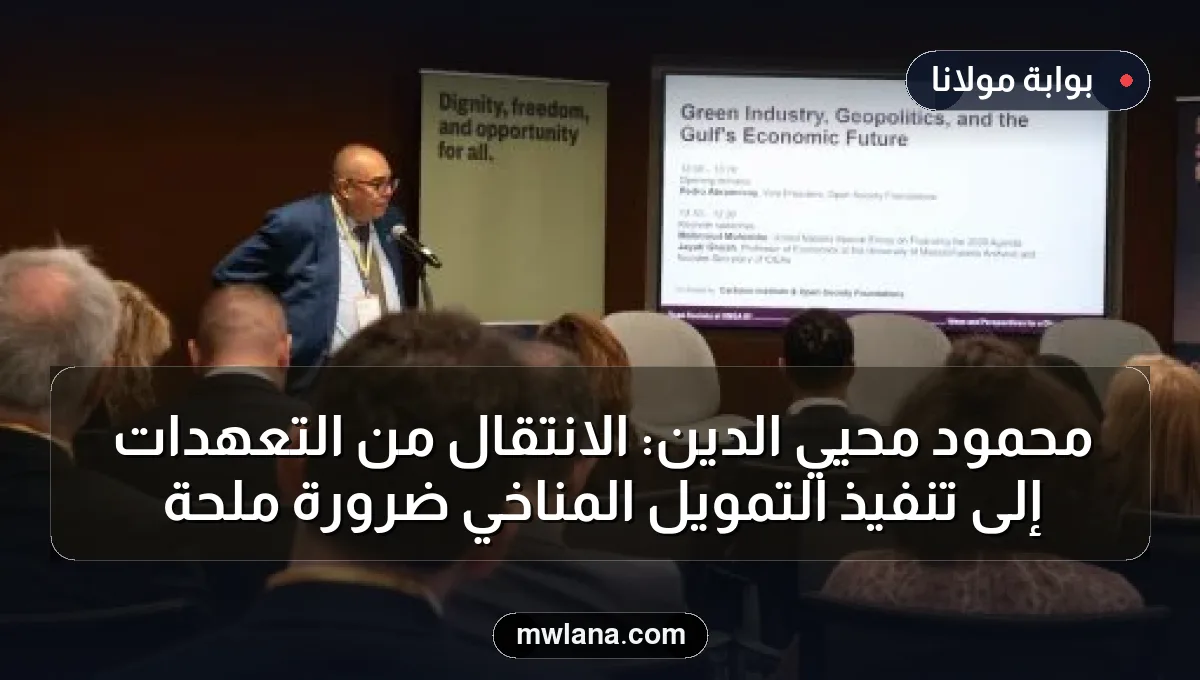 محمود محيي الدين: الانتقال من التعهدات إلى تنفيذ التمويل المناخي ضرورة ملحة