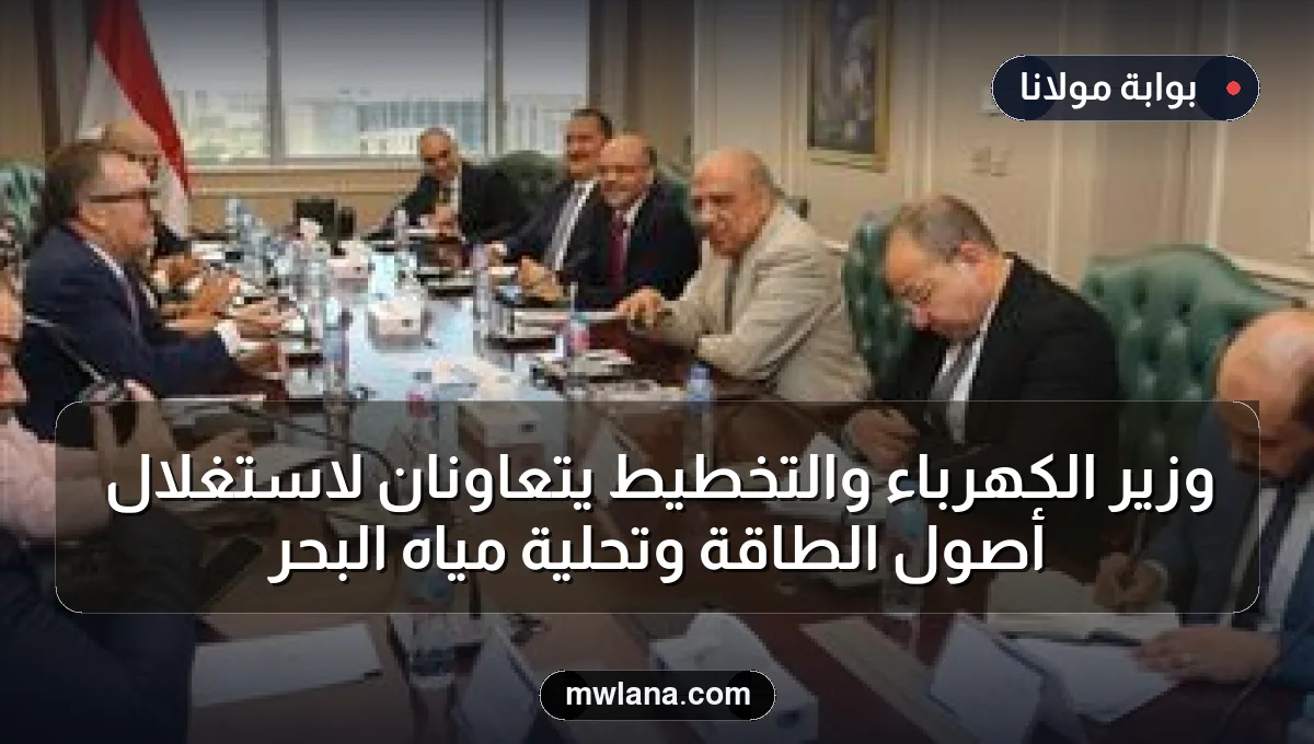 وزير الكهرباء والتخطيط يتعاونان لاستغلال أصول الطاقة وتحلية مياه البحر