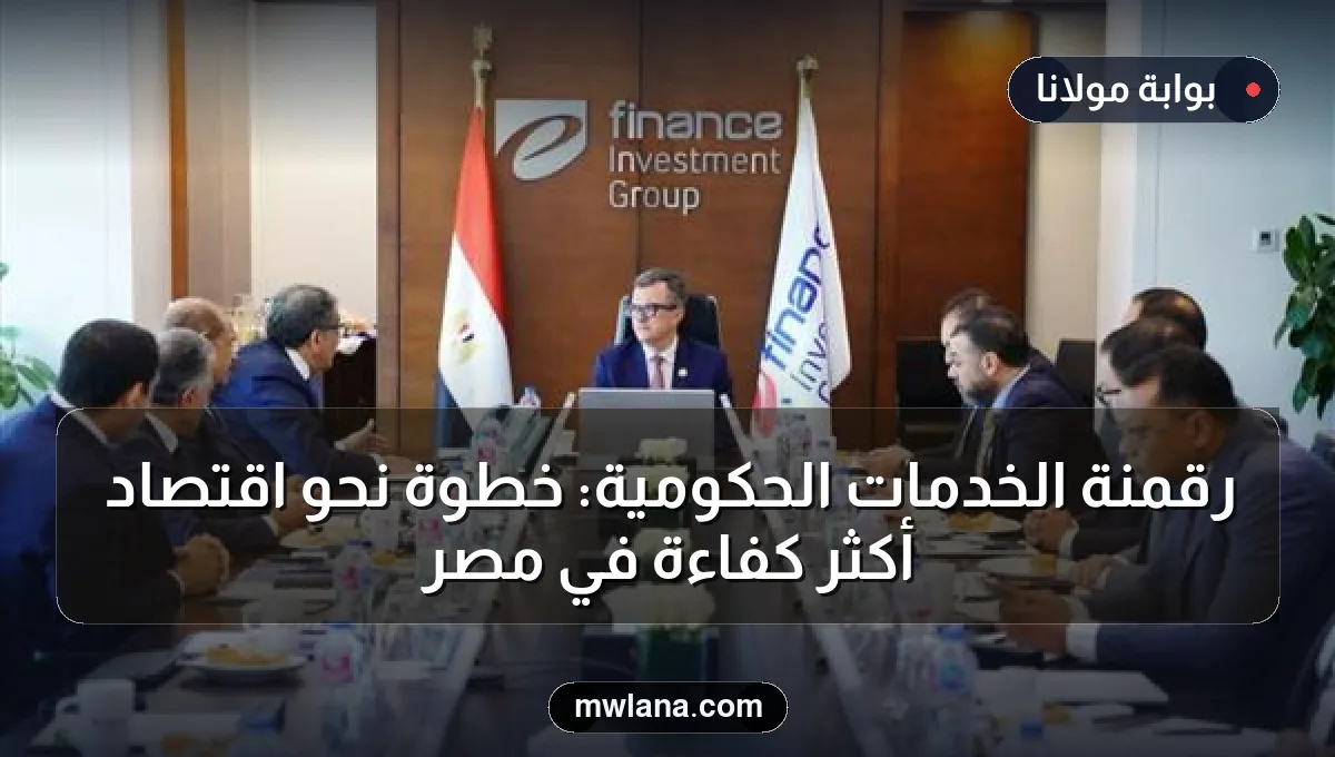 رقمنة الخدمات الحكومية: خطوة نحو اقتصاد أكثر كفاءة في مصر