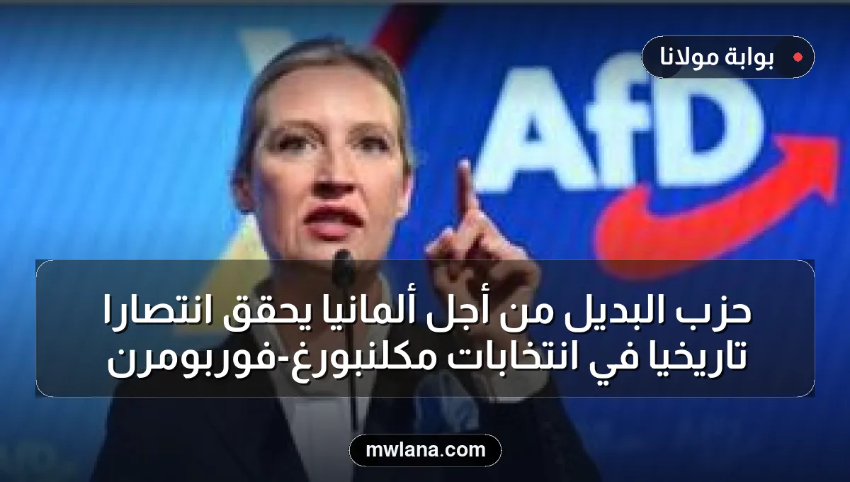 حزب البديل من أجل ألمانيا يحقق انتصارًا تاريخيًا في انتخابات مكلنبورغ-فوربومرن
