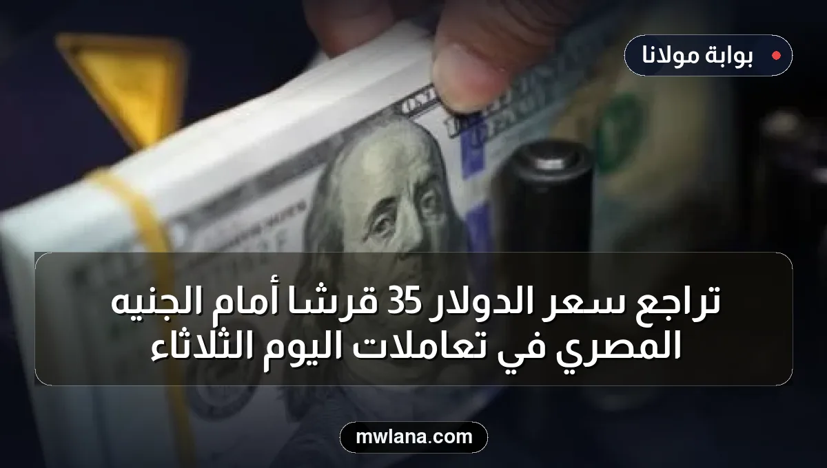 تراجع سعر الدولار 35 قرشاً أمام الجنيه المصري في تعاملات اليوم الثلاثاء