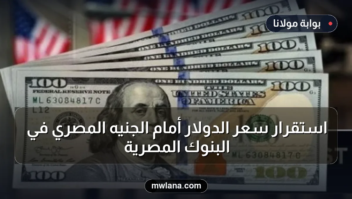 استقرار سعر الدولار أمام الجنيه المصري في البنوك المصرية