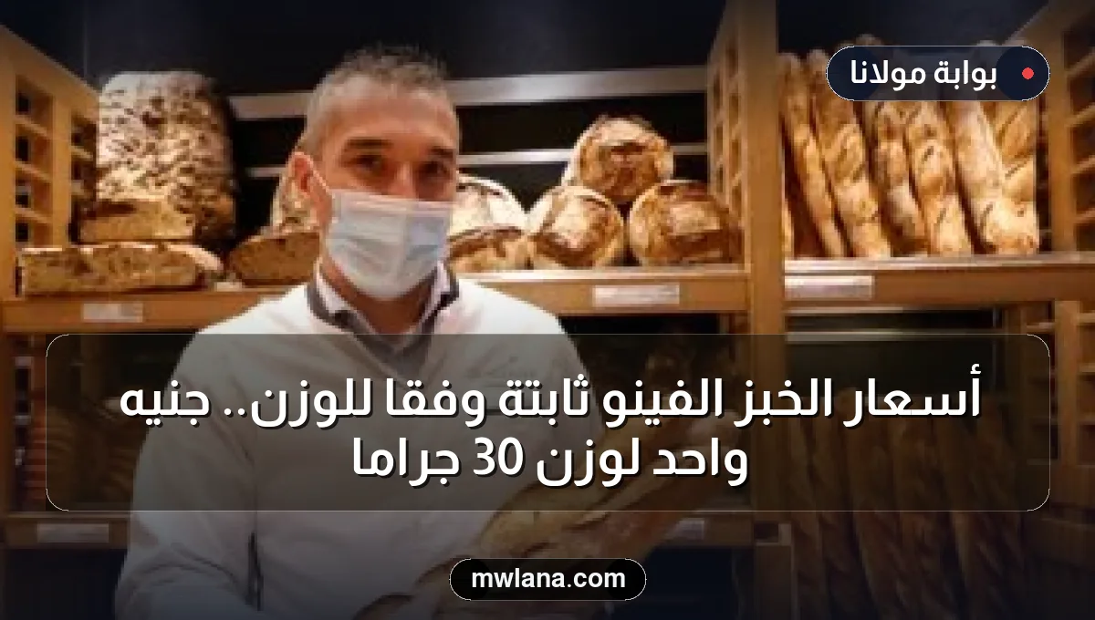 أسعار الخبز الفينو ثابتة وفقًا للوزن.. جنيه واحد لوزن 30 جرامًا