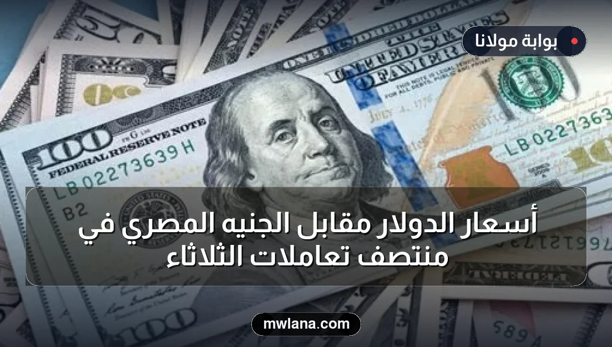 أسعار الدولار مقابل الجنيه المصري في منتصف تعاملات الثلاثاء