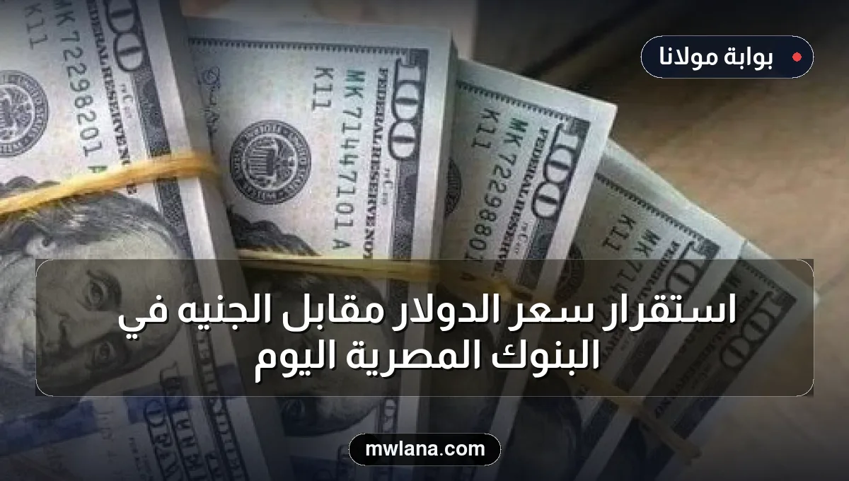 استقرار سعر الدولار مقابل الجنيه في البنوك المصرية اليوم