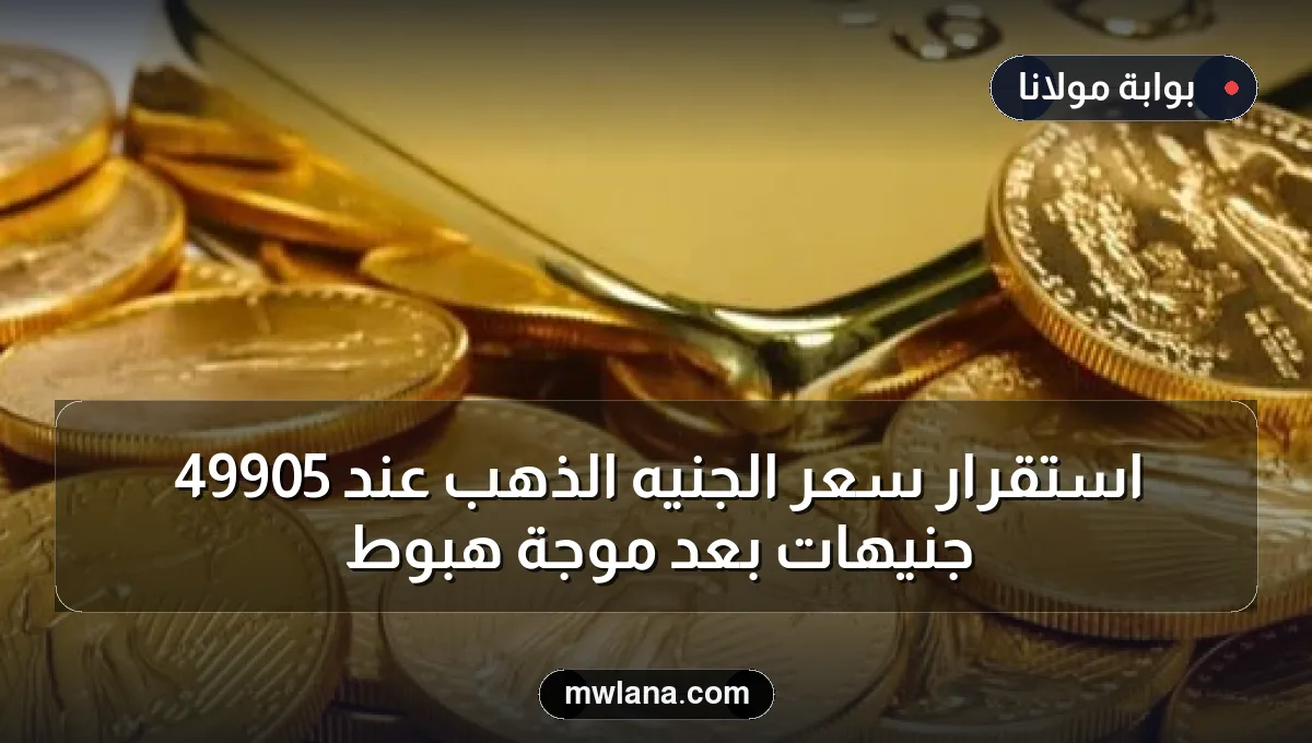 استقرار سعر الجنيه الذهب عند 49905 جنيهات بعد موجة هبوط