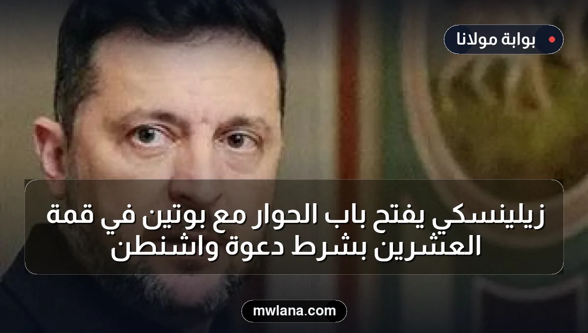 زيلينسكي يفتح باب الحوار مع بوتين في قمة العشرين بشرط دعوة واشنطن