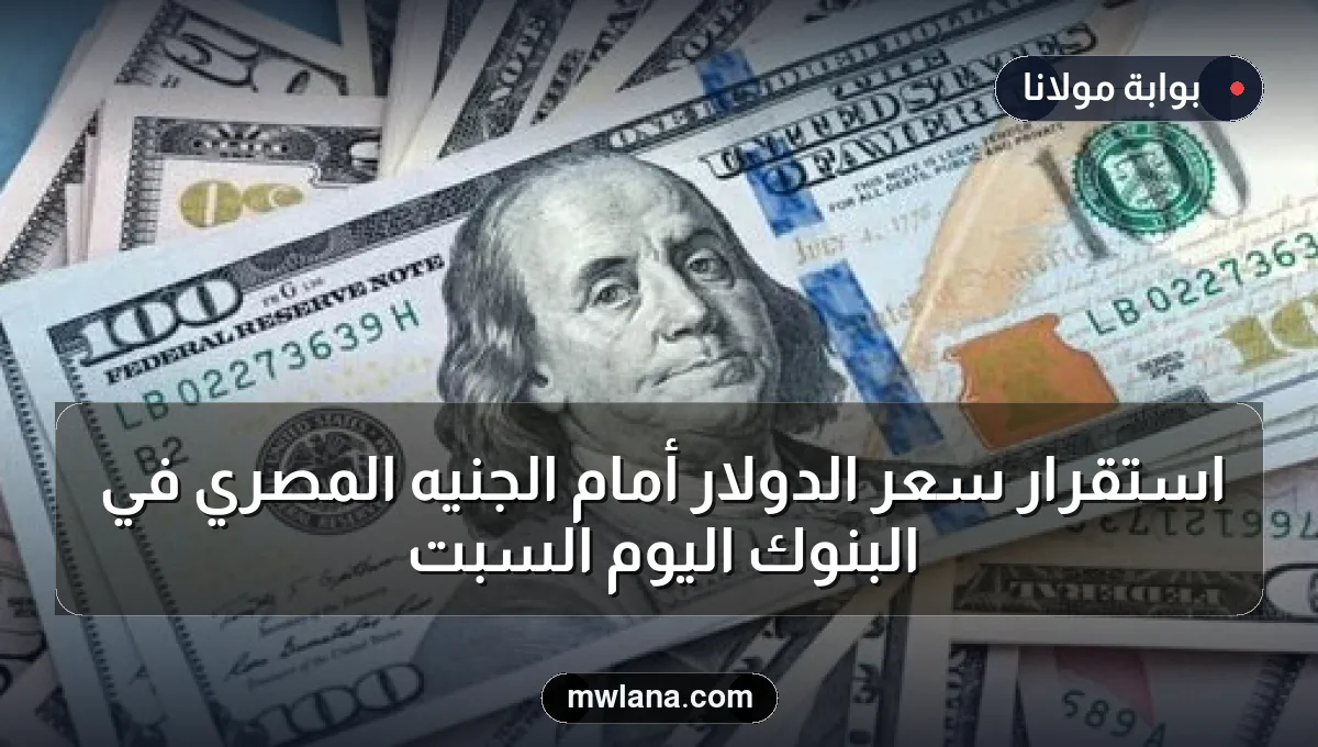 استقرار سعر الدولار أمام الجنيه المصري في البنوك اليوم السبت