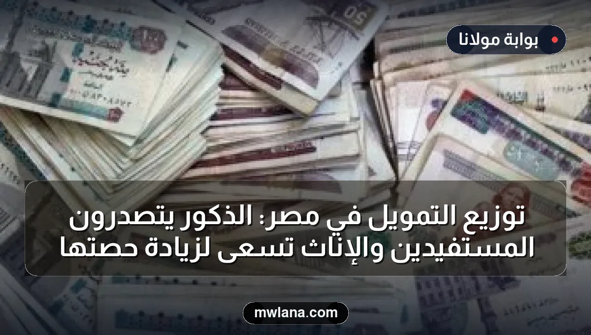 توزيع التمويل في مصر: الذكور يتصدرون المستفيدين والإناث تسعى لزيادة حصتها