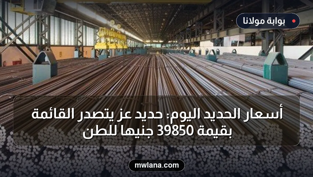 أسعار الحديد اليوم: حديد عز يتصدر القائمة بقيمة 39850 جنيهًا للطن