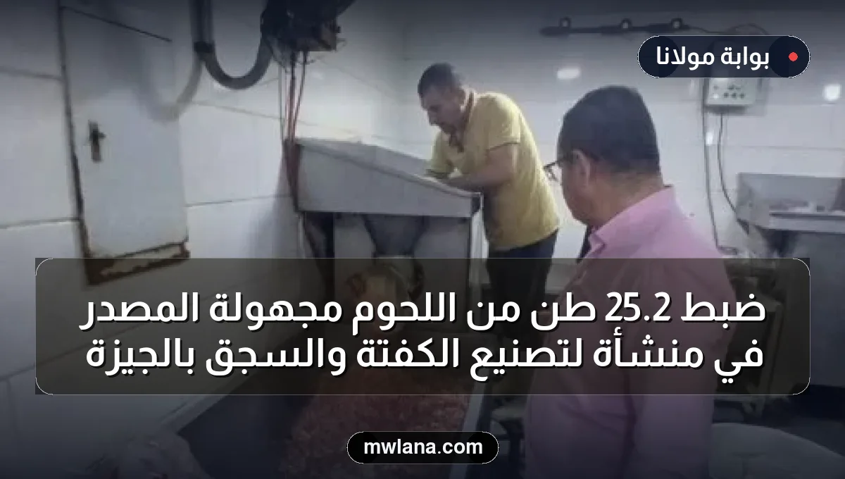 ضبط 2.25 طن من اللحوم مجهولة المصدر في منشأة لتصنيع الكفتة والسجق بالجيزة