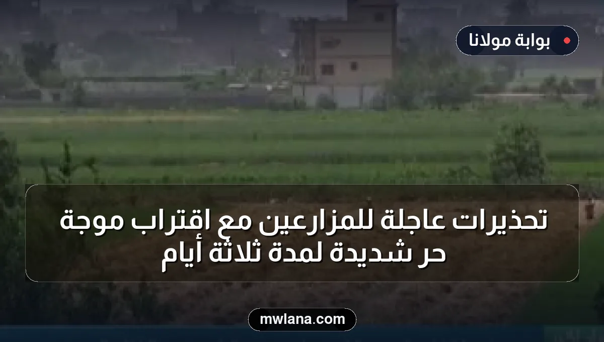تحذيرات عاجلة للمزارعين مع اقتراب موجة حر شديدة لمدة ثلاثة أيام