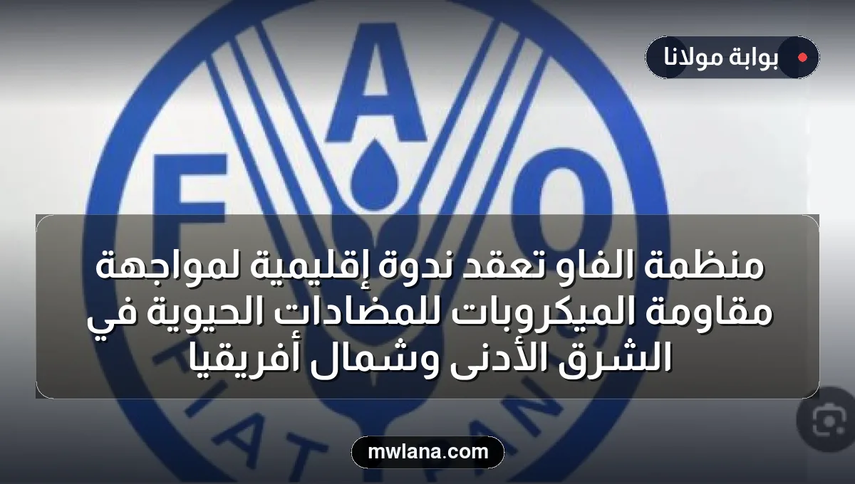 منظمة الفاو تعقد ندوة إقليمية لمواجهة مقاومة الميكروبات للمضادات الحيوية في الشرق الأدنى وشمال أفريقيا