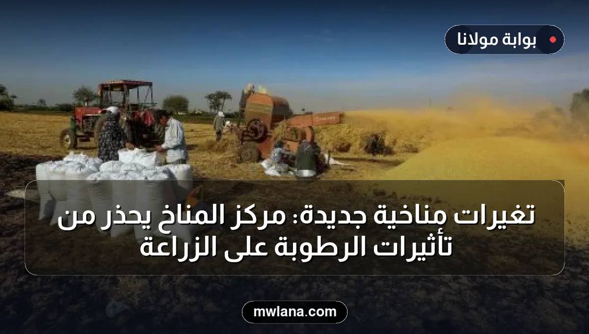 تغيرات مناخية جديدة: مركز المناخ يحذر من تأثيرات الرطوبة على الزراعة