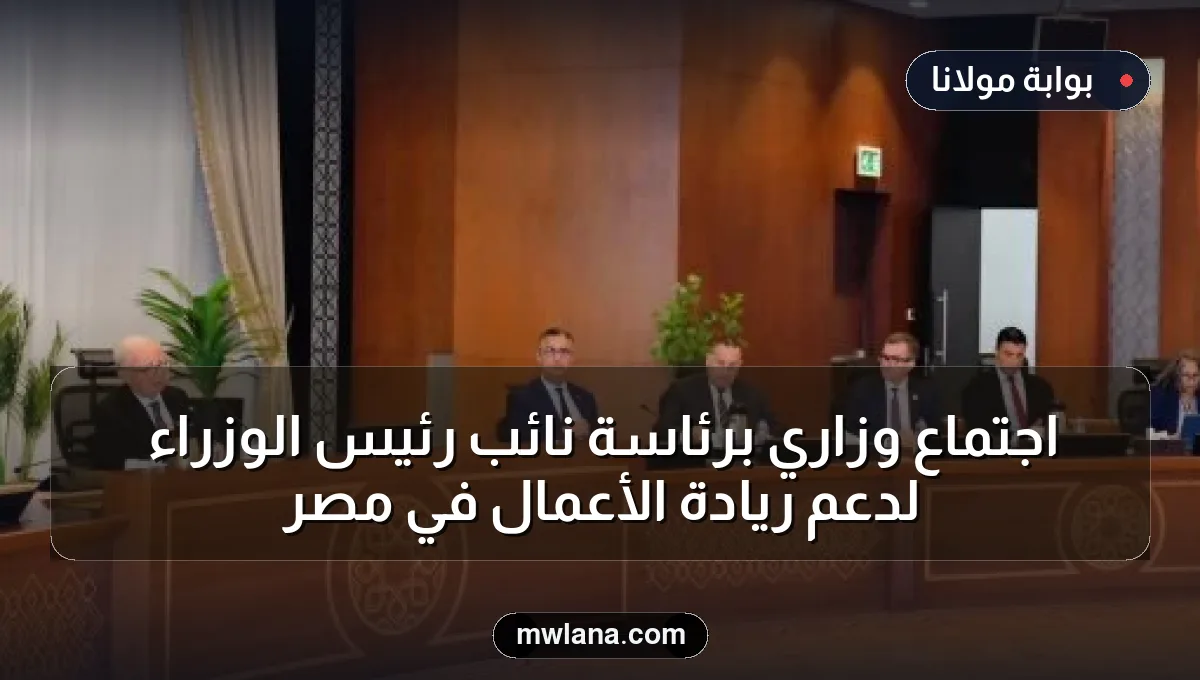 اجتماع وزاري برئاسة نائب رئيس الوزراء لدعم ريادة الأعمال في مصر