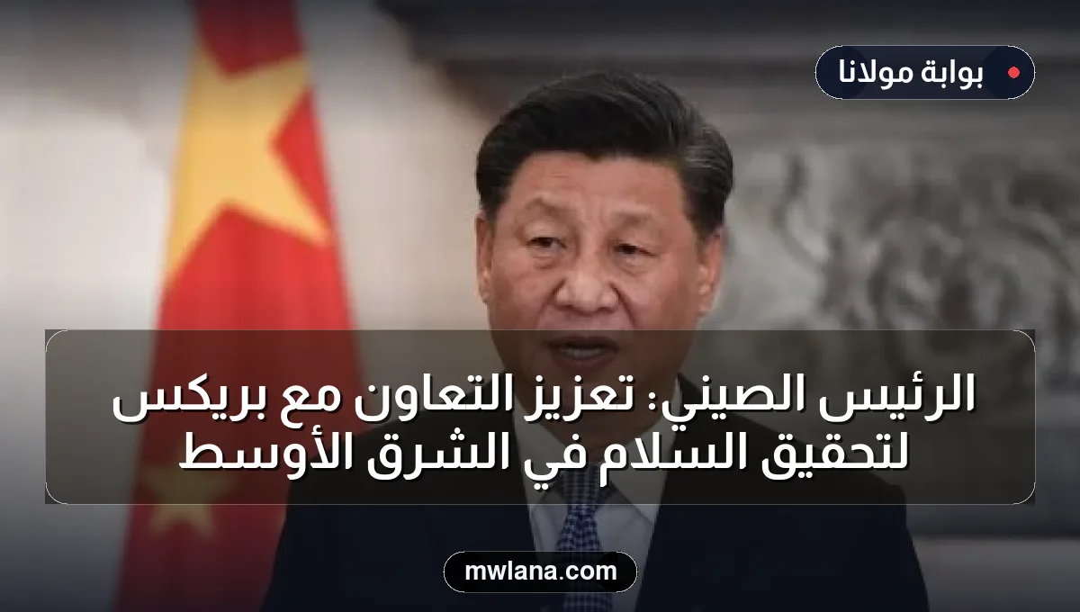 الرئيس الصيني: تعزيز التعاون مع بريكس لتحقيق السلام في الشرق الأوسط