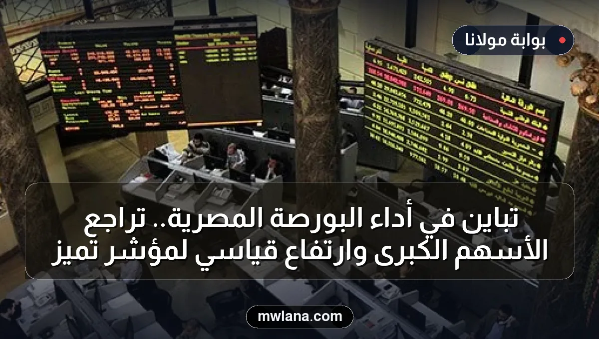 تباين في أداء البورصة المصرية.. تراجع الأسهم الكبرى وارتفاع قياسي لمؤشر تميز