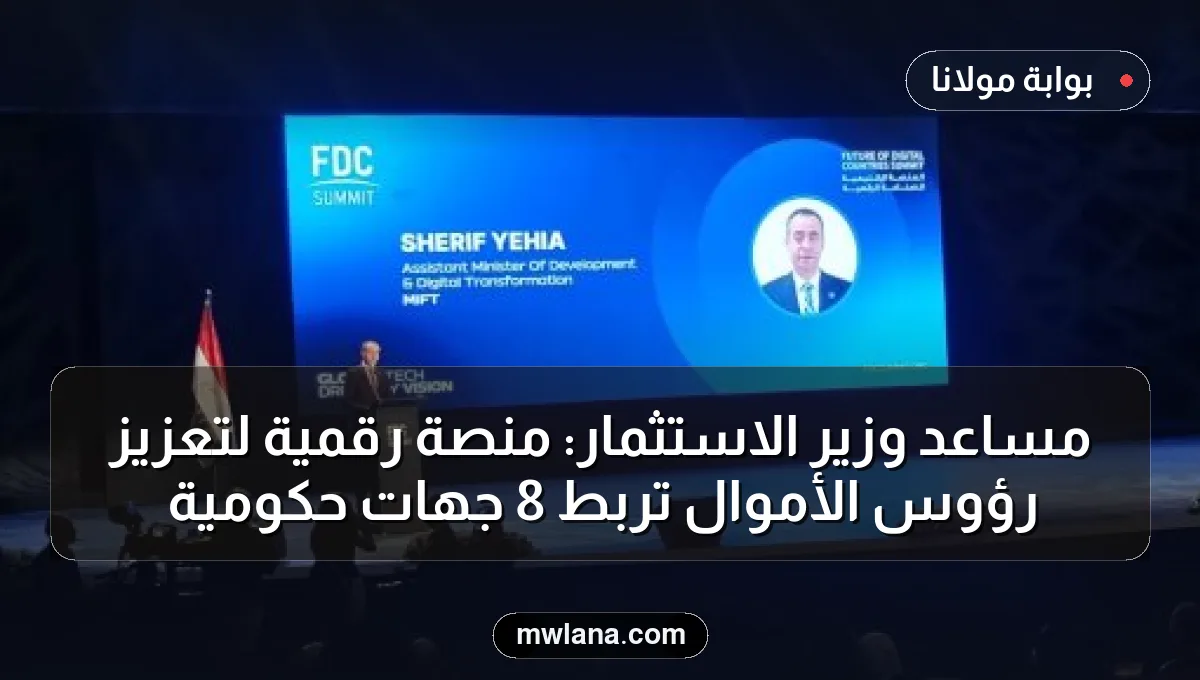مساعد وزير الاستثمار: منصة رقمية لتعزيز رؤوس الأموال تربط 8 جهات حكومية