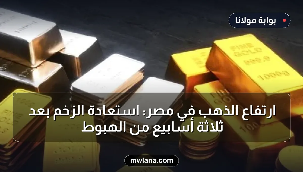 ارتفاع الذهب في مصر: استعادة الزخم بعد ثلاثة أسابيع من الهبوط