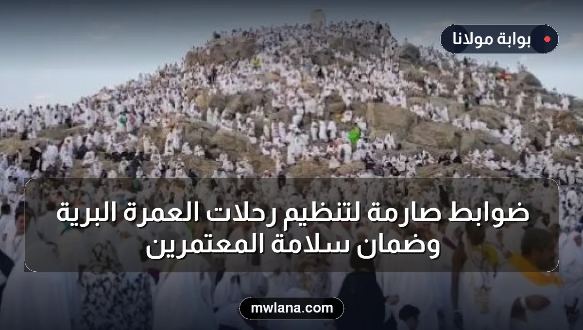 ضوابط صارمة لتنظيم رحلات العمرة البرية وضمان سلامة المعتمرين
