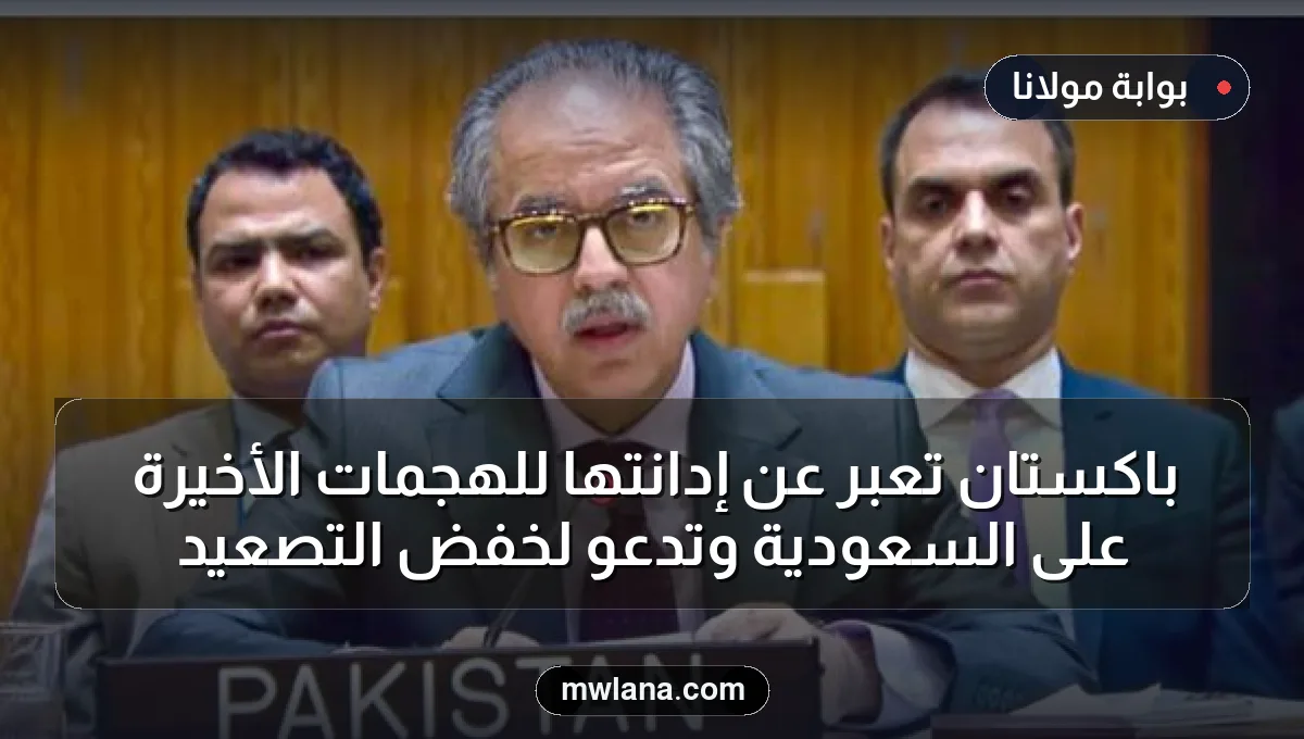 باكستان تعبر عن إدانتها للهجمات الأخيرة على السعودية وتدعو لخفض التصعيد