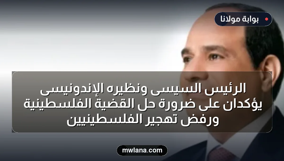 الرئيس السيسى ونظيره الإندونيسى يؤكدان على ضرورة حل القضية الفلسطينية ورفض تهجير الفلسطينيين