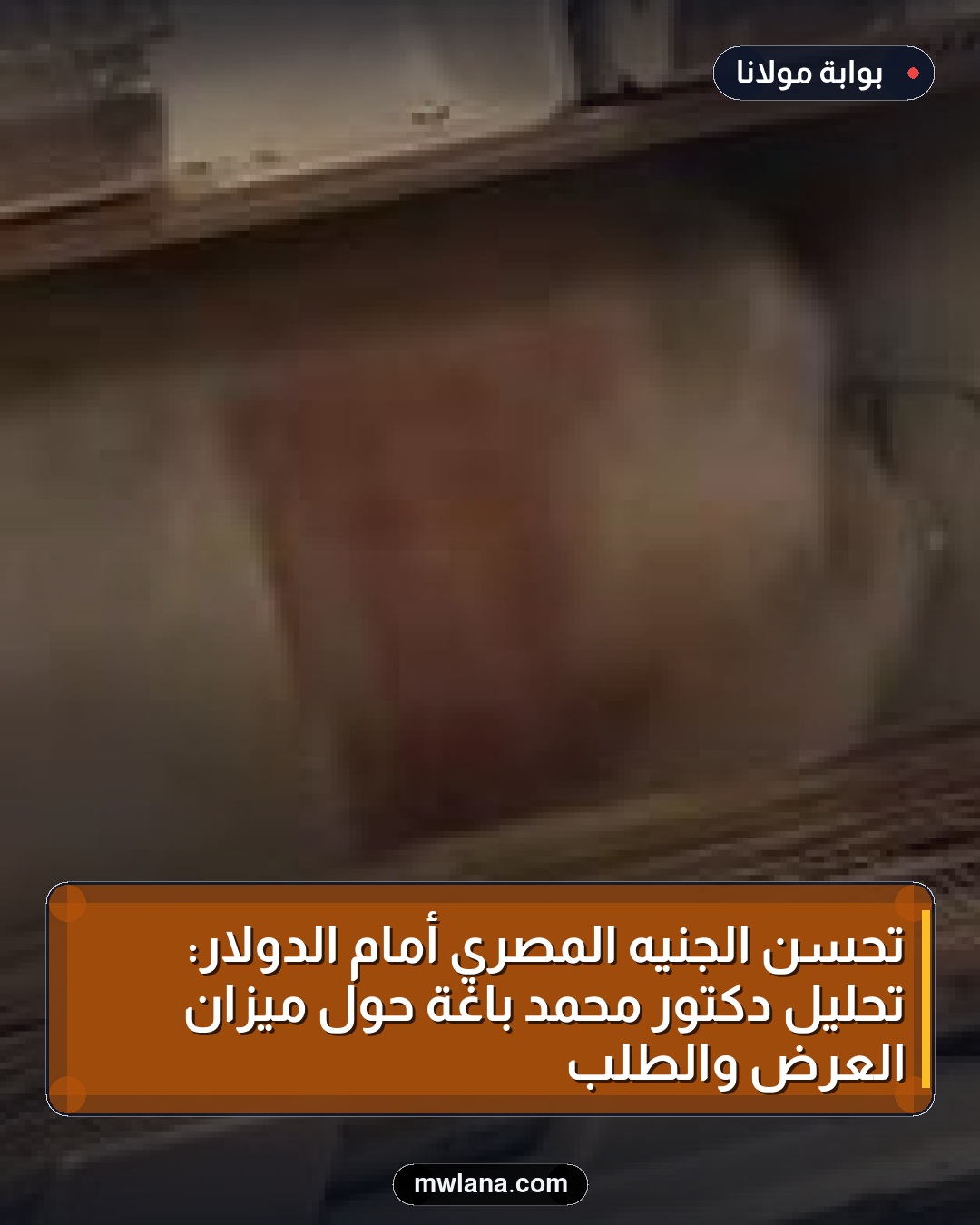 تحسن الجنيه المصري أمام الدولار: تحليل دكتور محمد باغة حول ميزان العرض والطلب