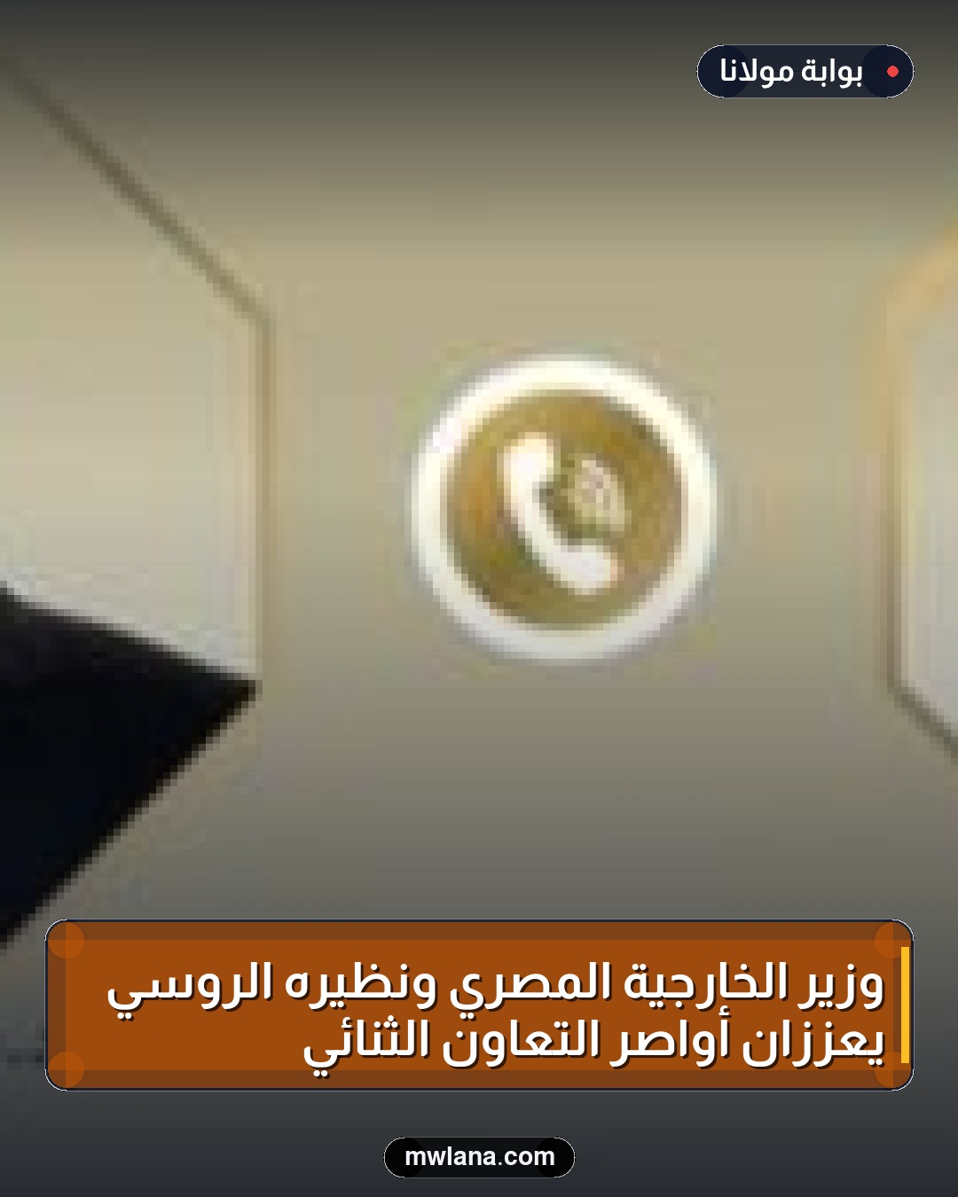 وزير الخارجية المصري ونظيره الروسي يعززان أواصر التعاون الثنائي