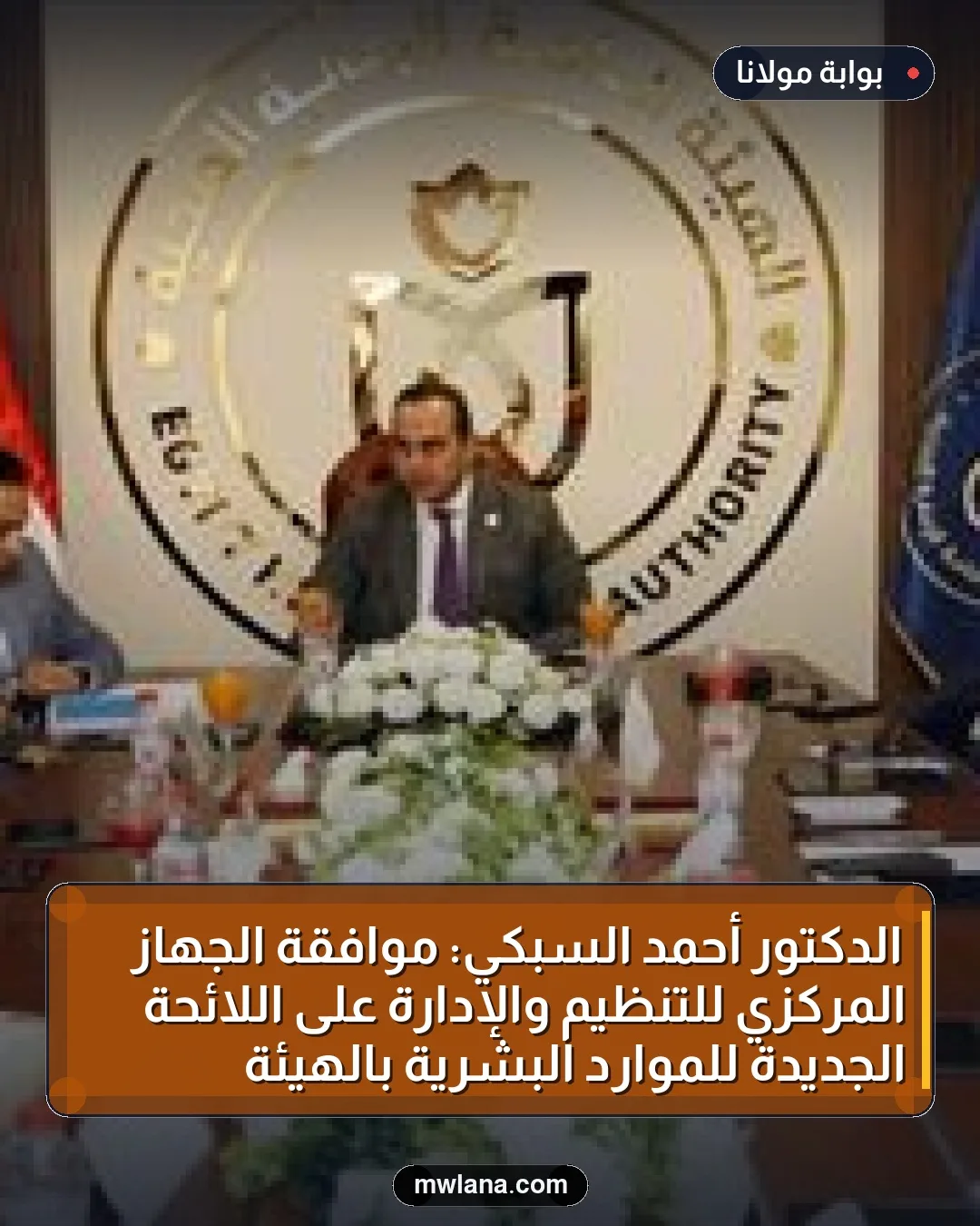 الدكتور أحمد السبكي: موافقة الجهاز المركزي للتنظيم والإدارة على اللائحة الجديدة للموارد البشرية بالهيئة