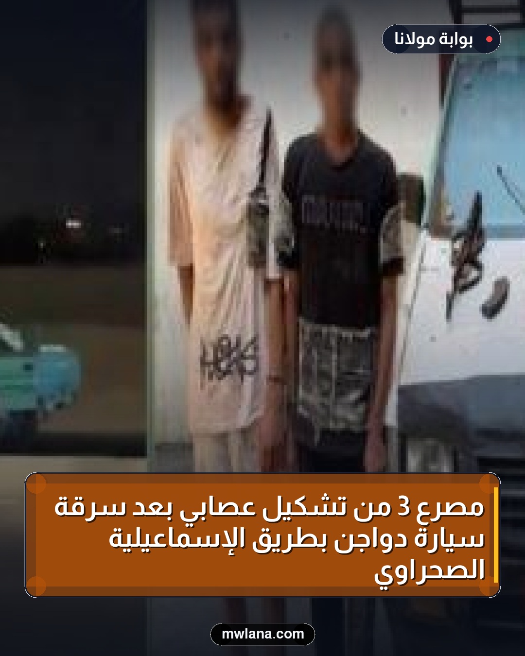مصرع 3 من تشكيل عصابي بعد سرقة سيارة دواجن بطريق الإسماعيلية الصحراوي