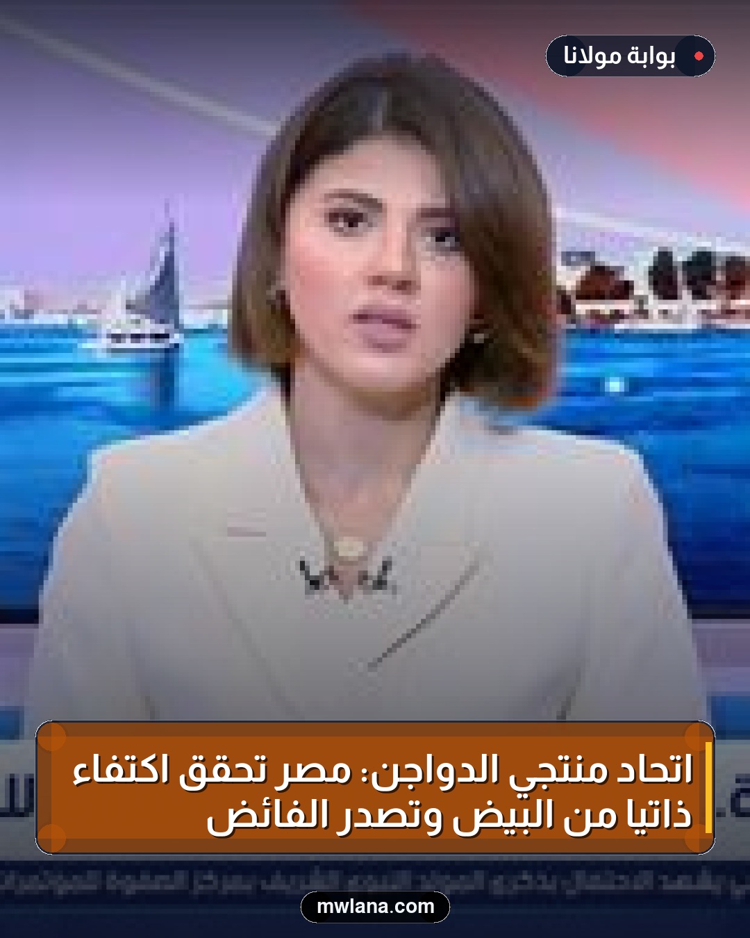 اتحاد منتجي الدواجن: مصر تحقق اكتفاءً ذاتيًا من البيض وتصدر الفائض