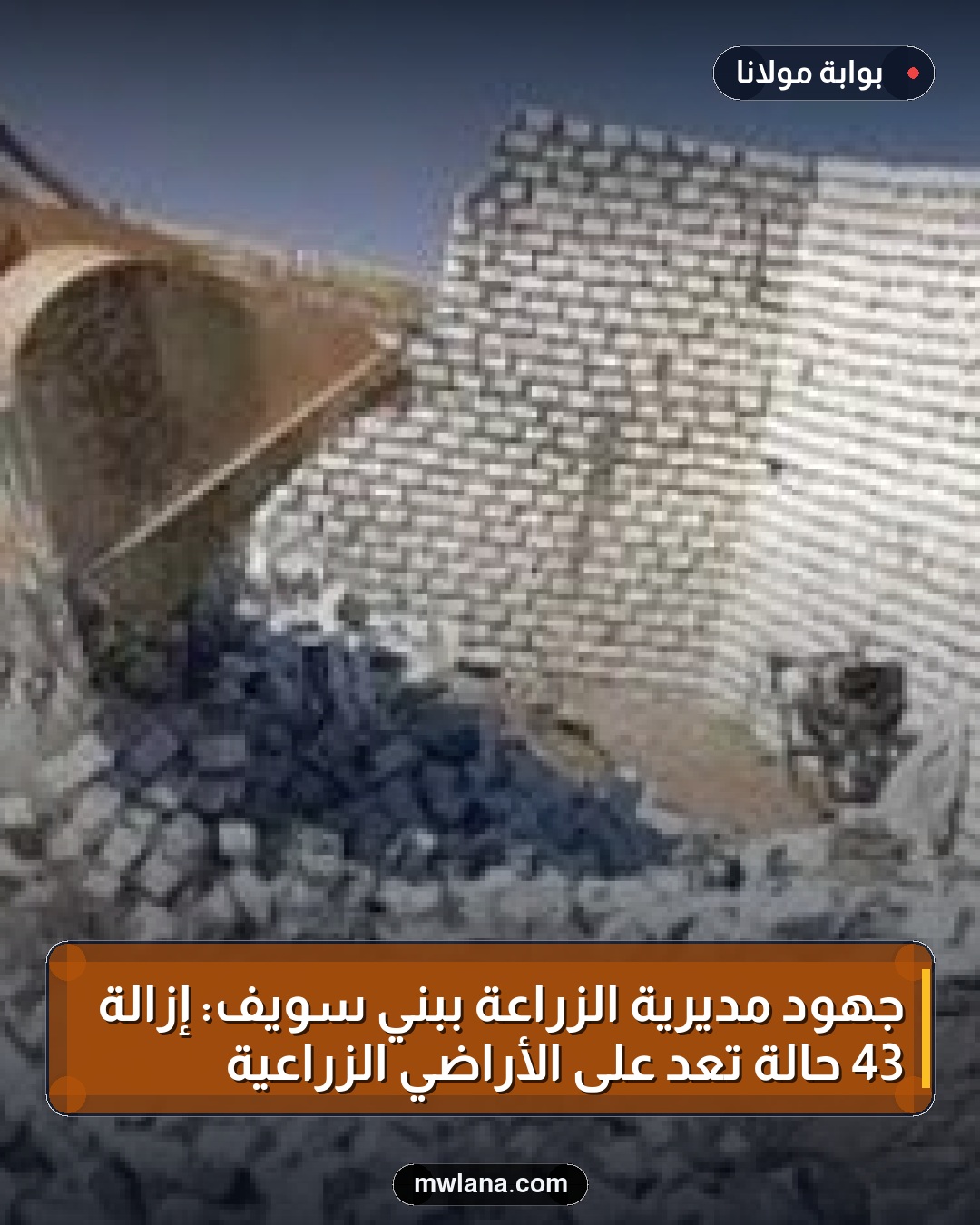 جهود مديرية الزراعة ببني سويف: إزالة 43 حالة تعدٍ على الأراضي الزراعية