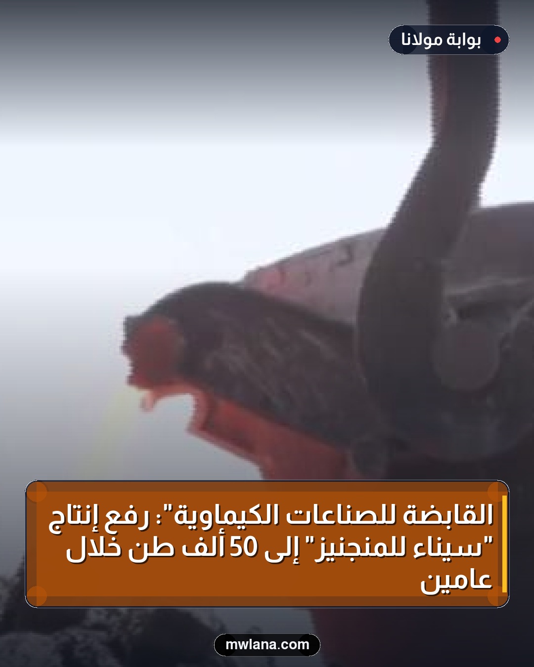 القابضة للصناعات الكيماوية": رفع إنتاج "سيناء للمنجنيز" إلى 50 ألف طن خلال عامين