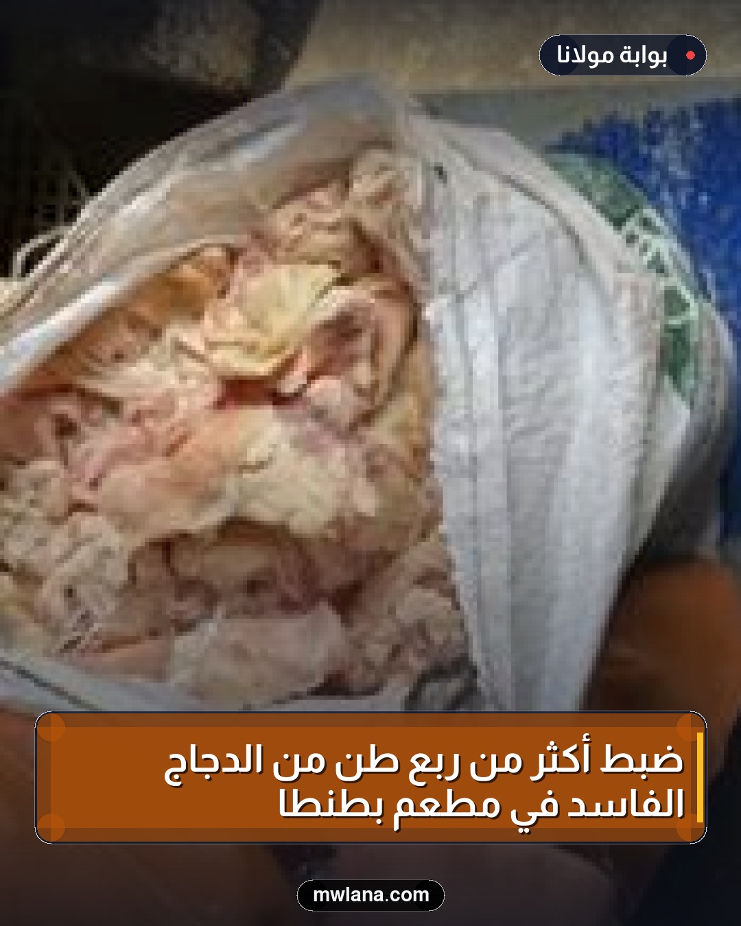 ضبط أكثر من ربع طن من الدجاج الفاسد في مطعم بطنطا