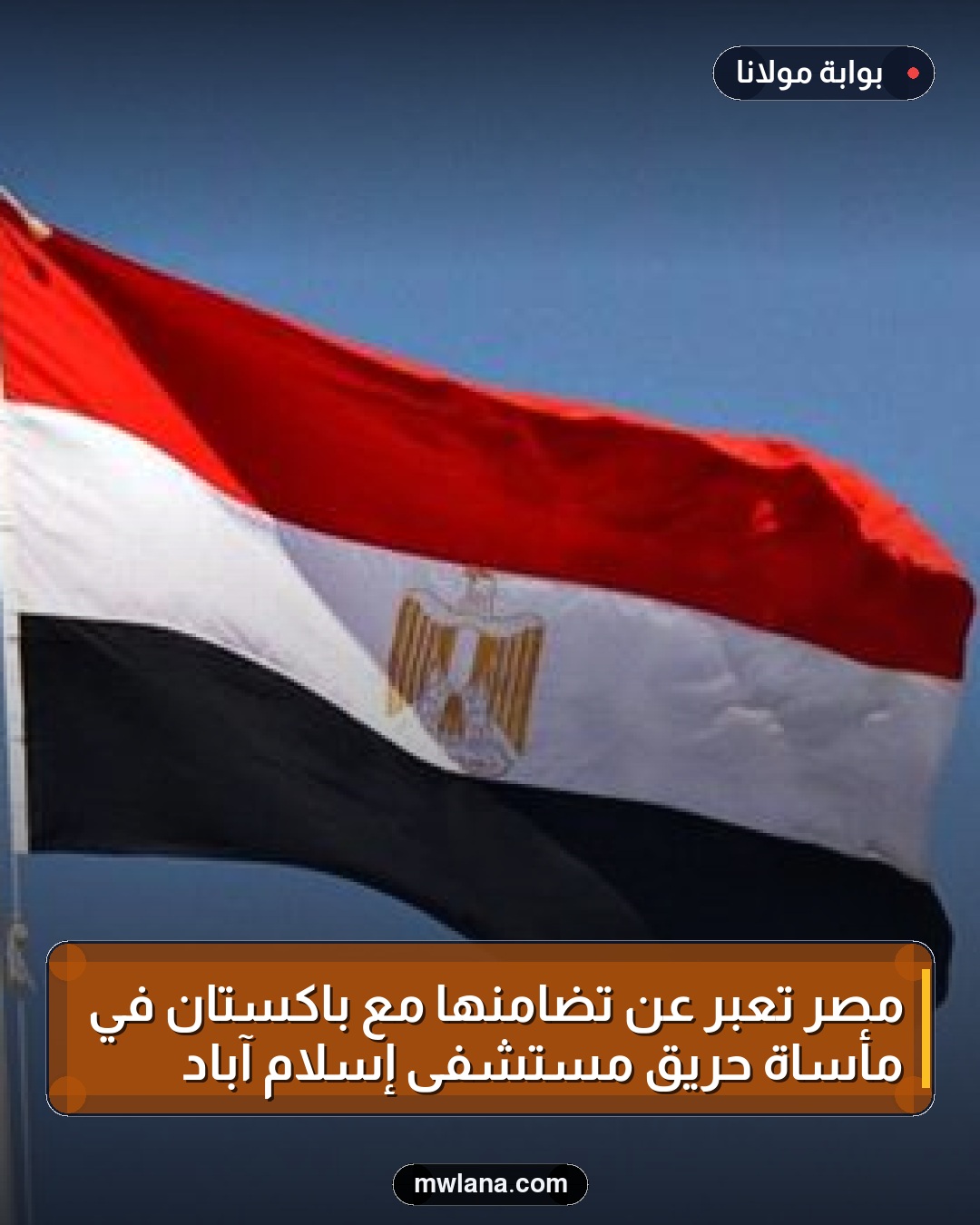 مصر تعبر عن تضامنها مع باكستان في مأساة حريق مستشفى إسلام آباد